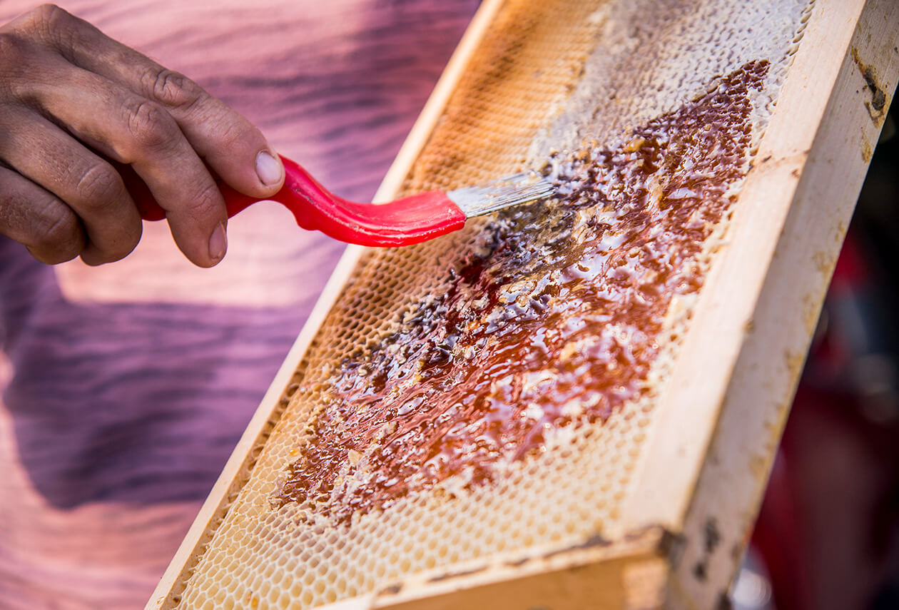 Artisan Scraping Honey Off Bee Hive